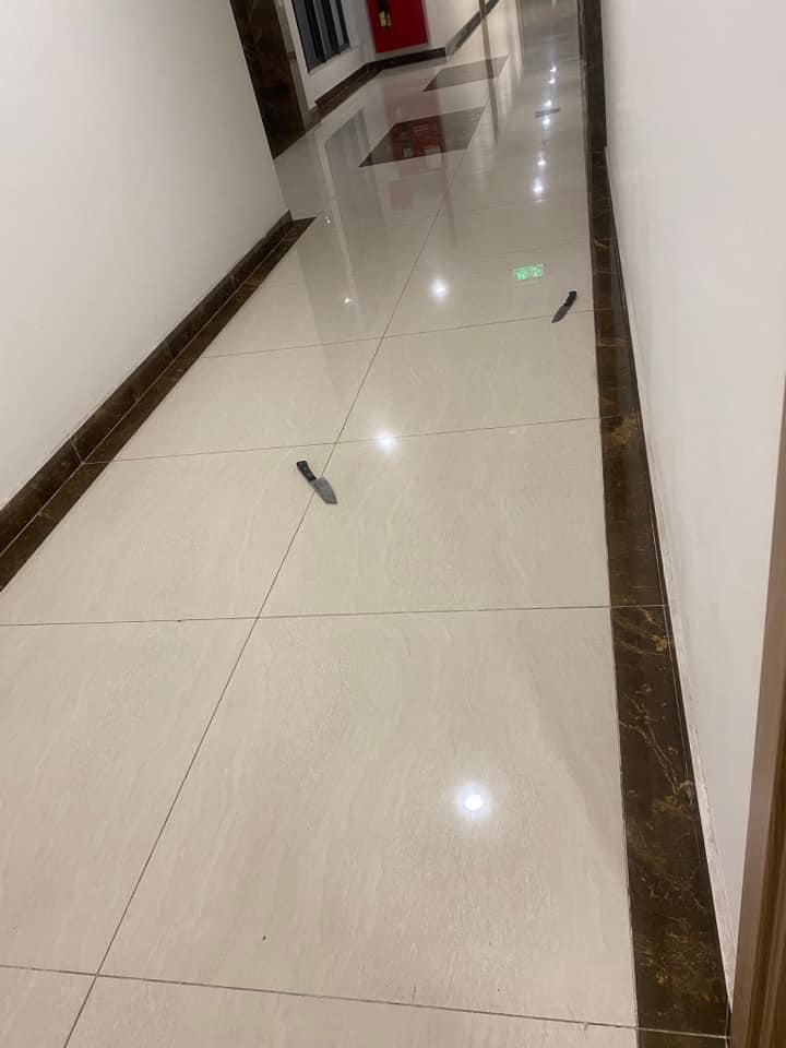 co gai cam dao 1
