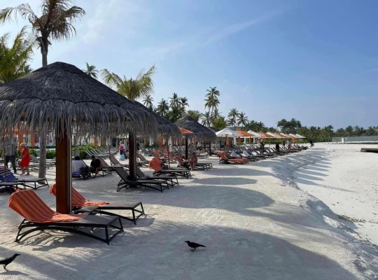 du lich Maldives 1