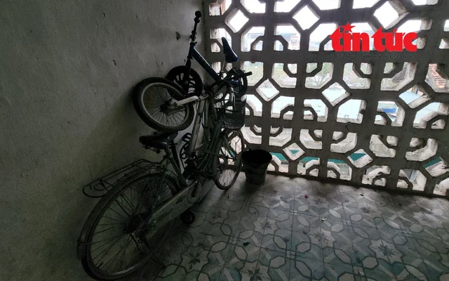 khu tap the cu ha noi 1