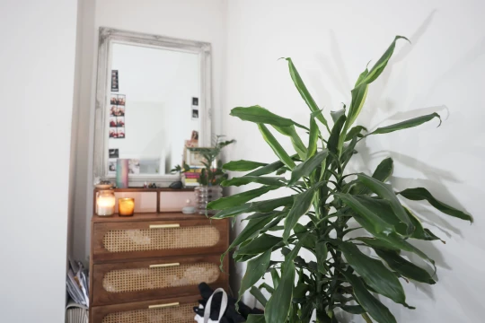 mua nha o tuoi 24 1