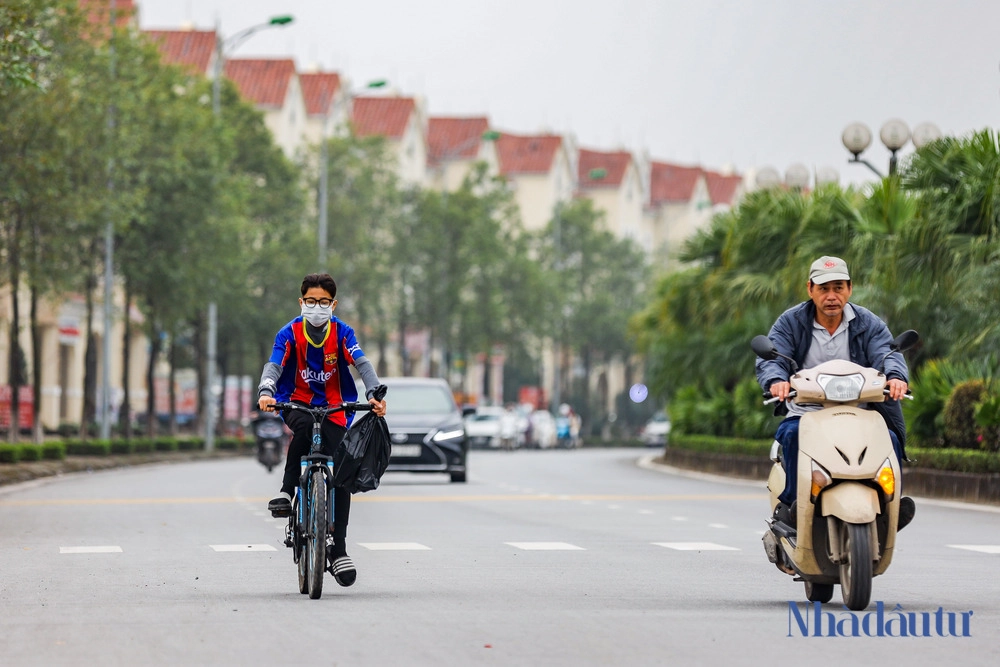 canh hoang vang trong khu do thi ha noi 1