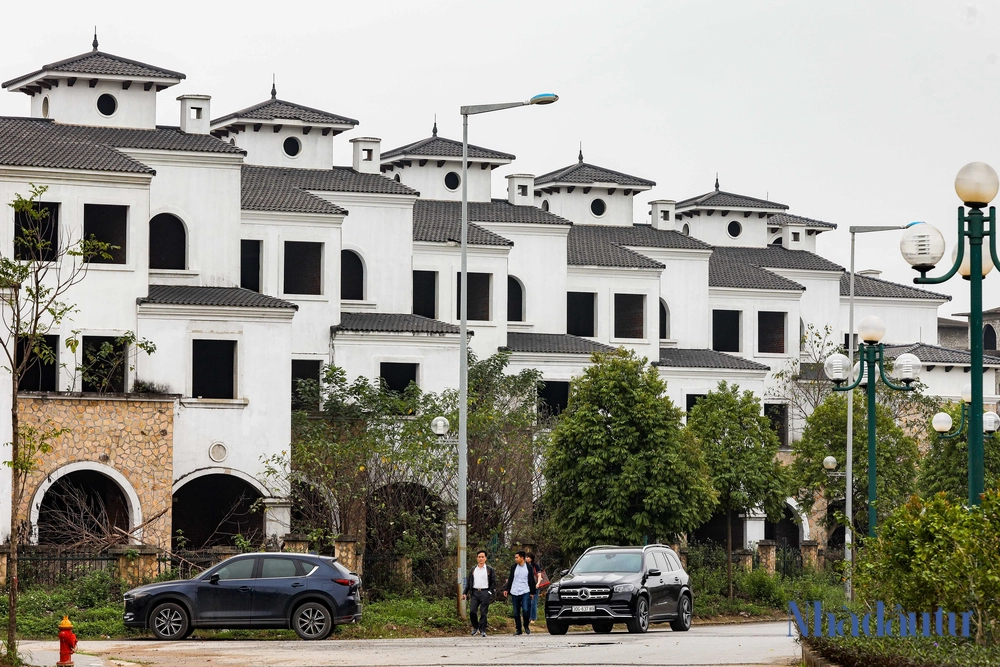 canh hoang vang trong khu do thi ha noi 1