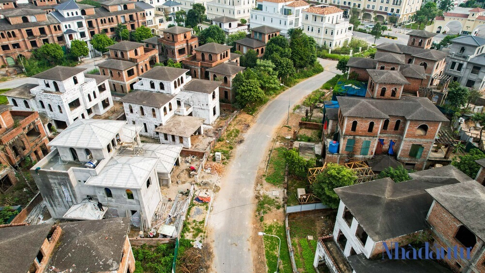 canh hoang vang trong khu do thi ha noi 1