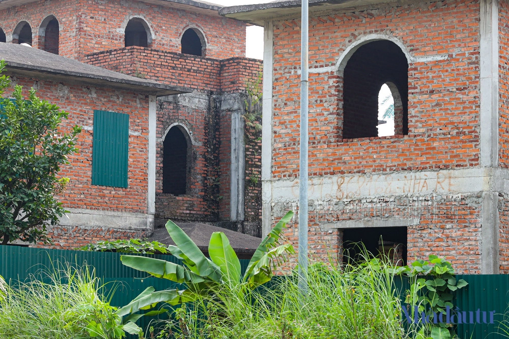 canh hoang vang trong khu do thi ha noi 1
