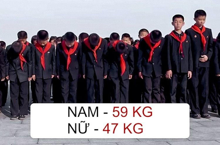 chieu cao can nang the gioi 1