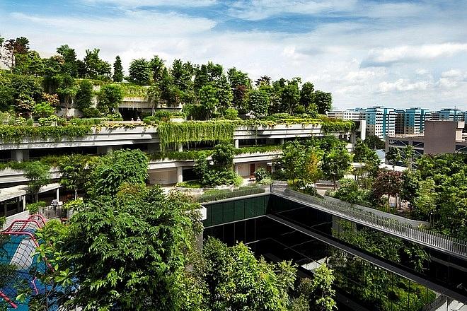 cong trinh xanh o singapore du lich singapore 1