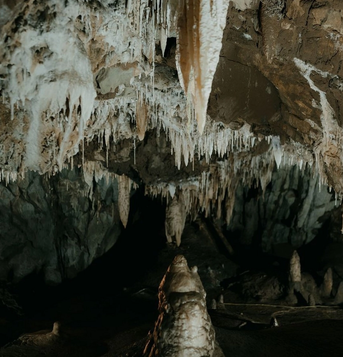 hang son doong 1