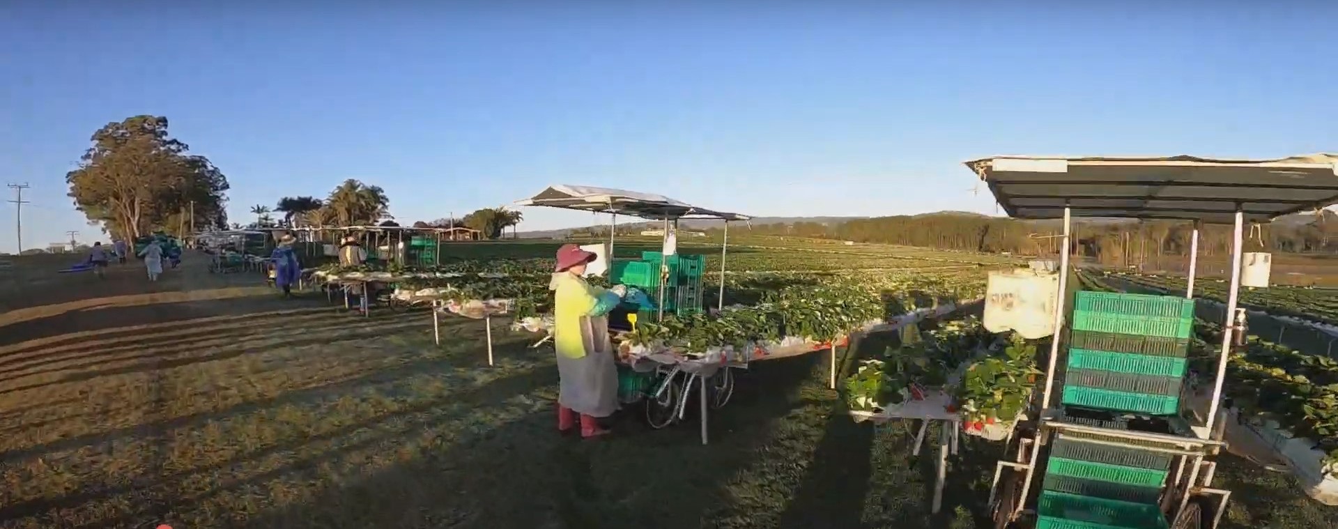 nghe lam farm o uc 1