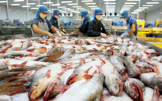 xuat khau ca tra viet nam sang anh quoc