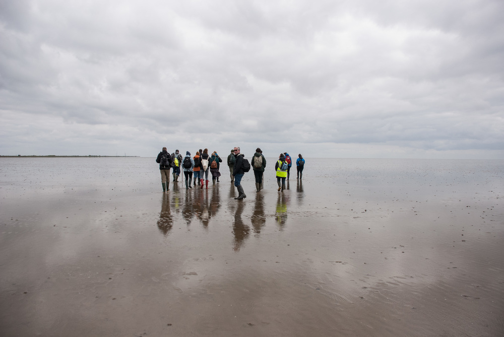 broomway 5