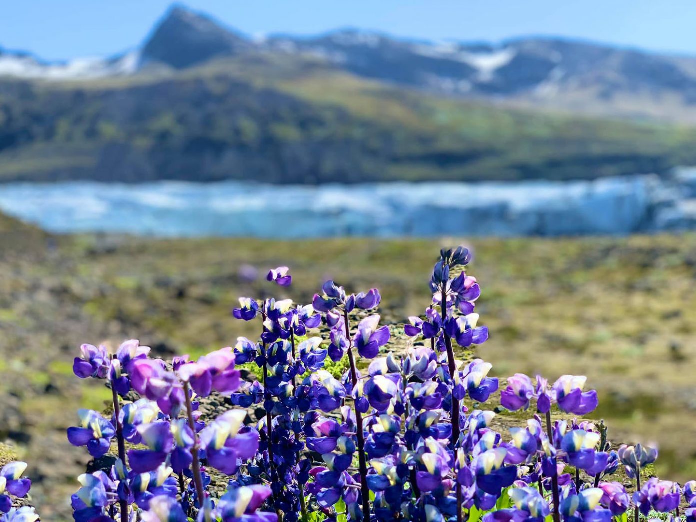 du lich iceland 1