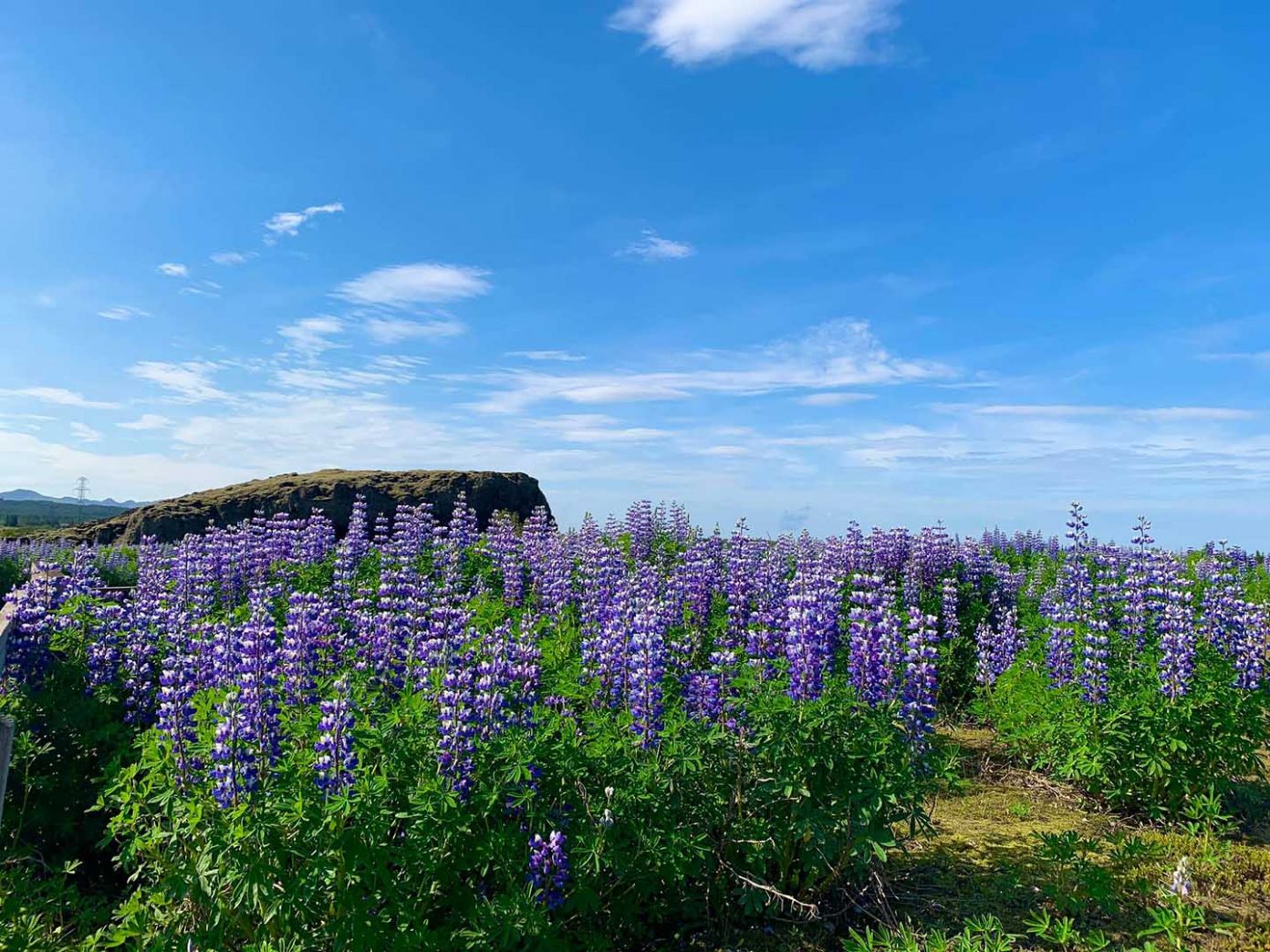 du lich iceland 1