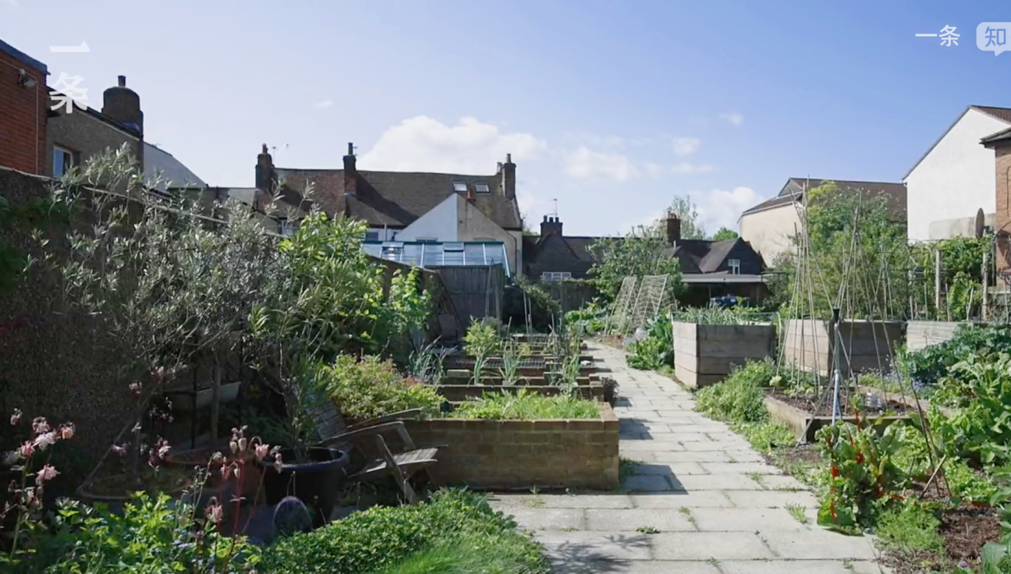 cu ba xay nha song cung nhau 1