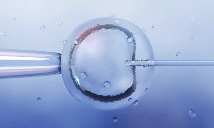 em be co 3 DNA