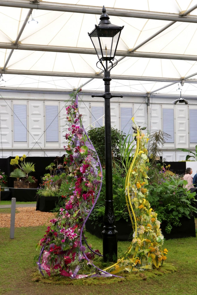 nguoi viet cam hoa Chelsea Flower Show 1