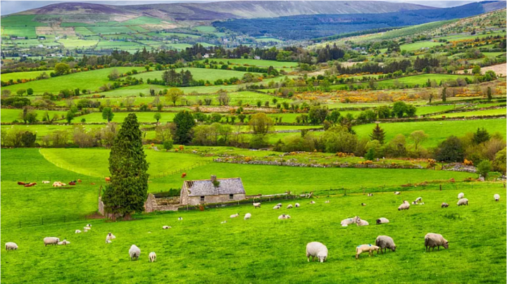 ran o ireland 1