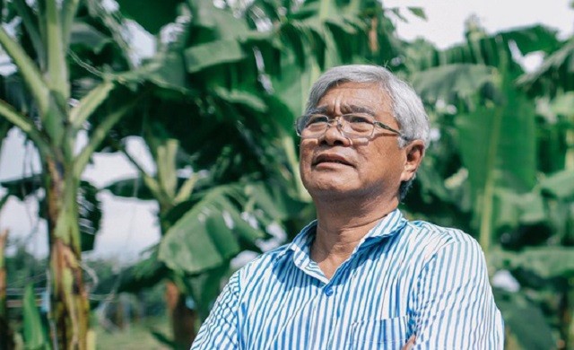 dai gia vo quan huy 1