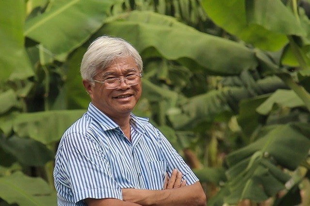 dai gia vo quan huy 1