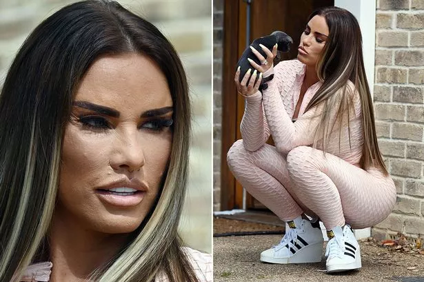katie price 2