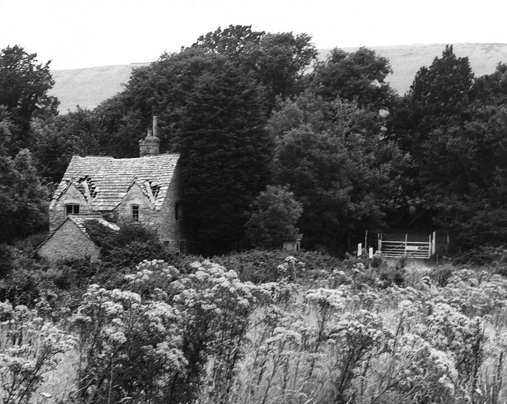 lang Tyneham 1