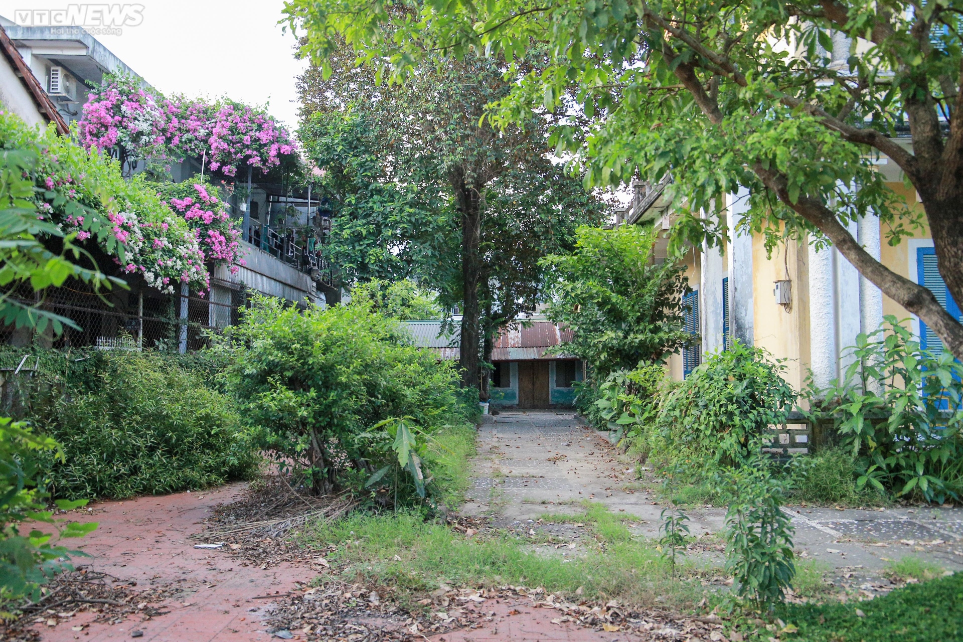 nha cua ba tu cung 1