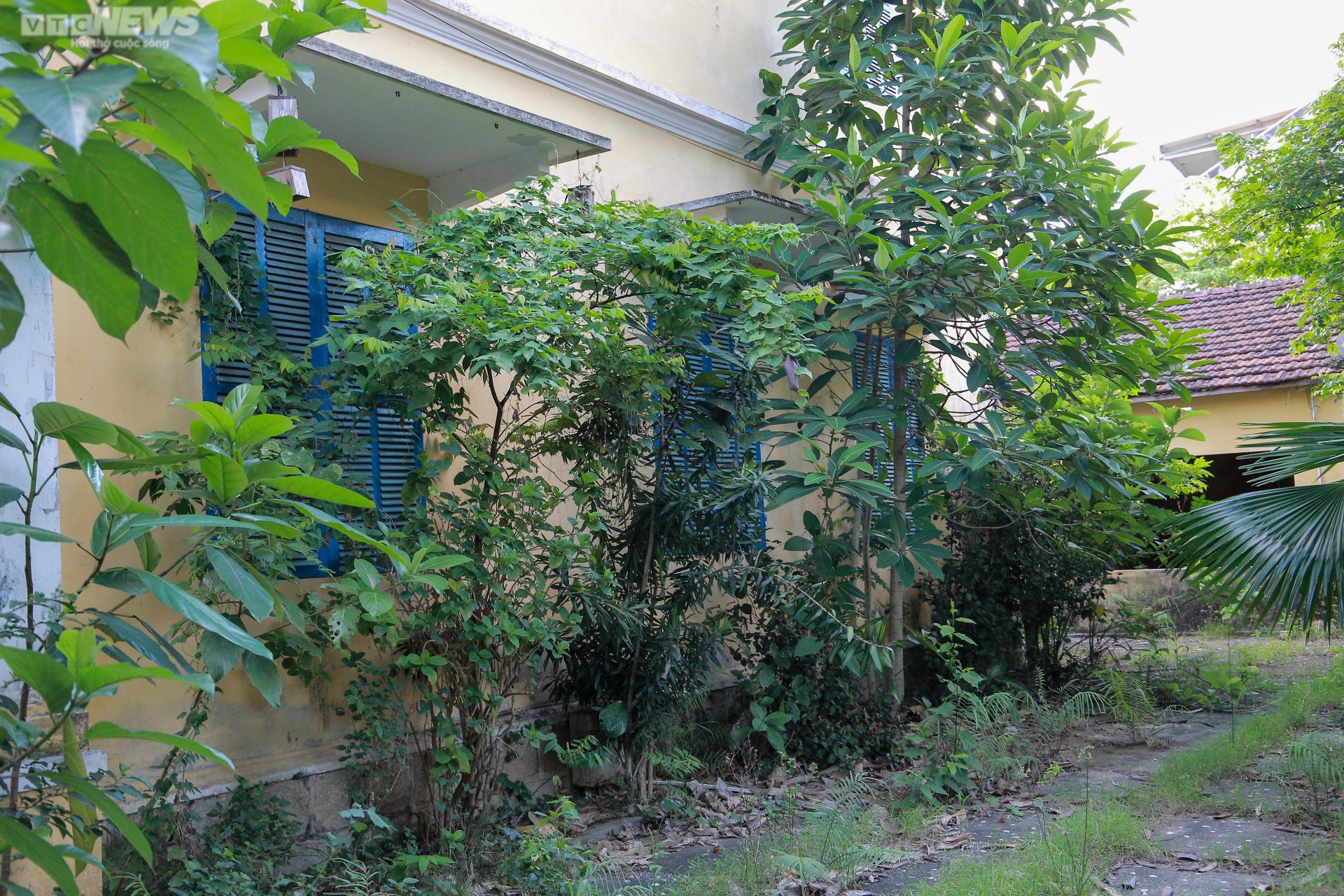 nha cua ba tu cung 1