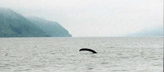 quai vat ho loch ness