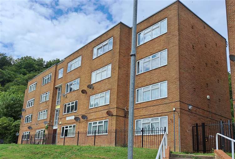chuot chet 1