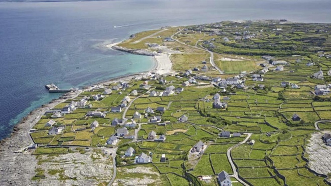 ireland tang tien 1