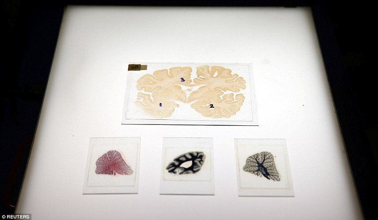 ngan hang nao imperial college london 1