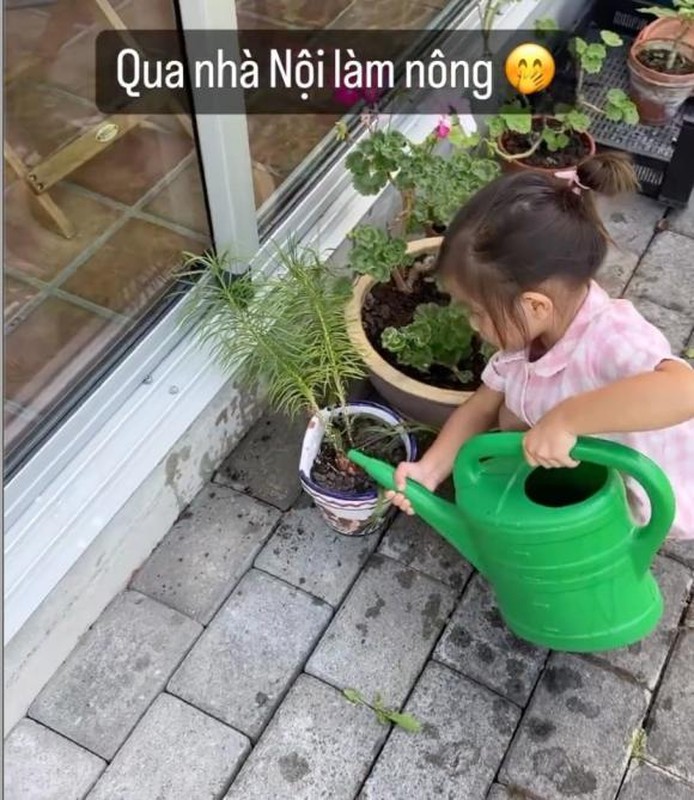 nha chong ha ho 1