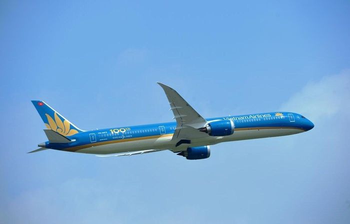 vietnam airlines den anh