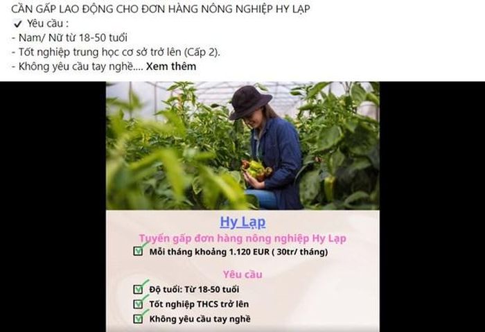 xuat khau lao dong hy lap 1