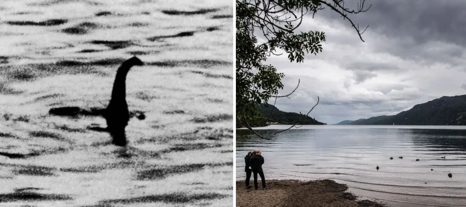 ho lochness