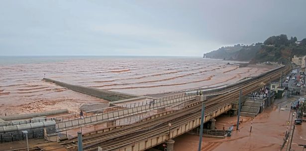 lu lut devon 1