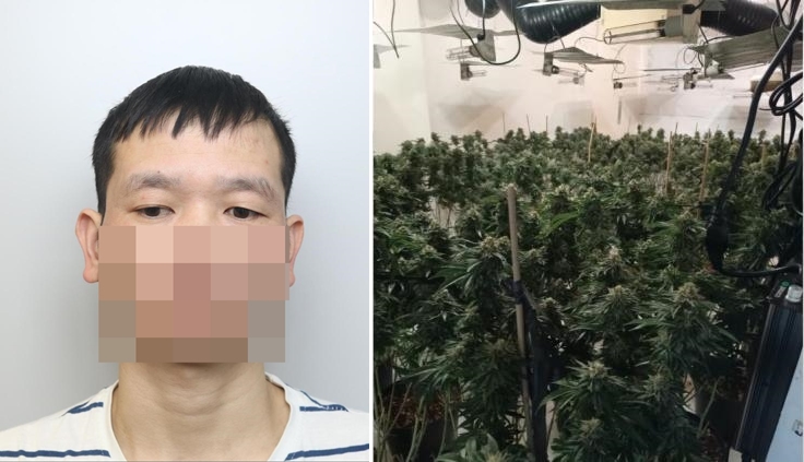 nguoi viet trong can sa o warrington 1