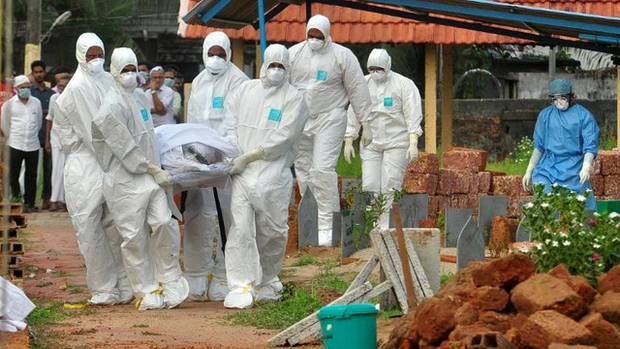 virus nipah 1