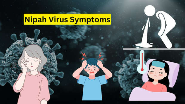 virus nipah 1