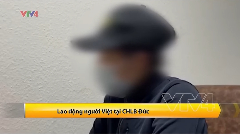 lao dong nguoi viet tai duc