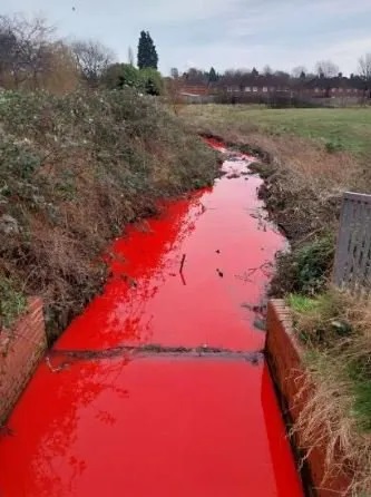 suoi do o birmingham