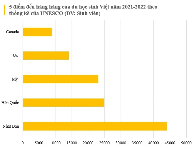 vn du hoc nhieu 1