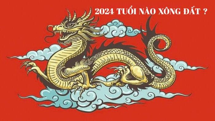xong dat 2024