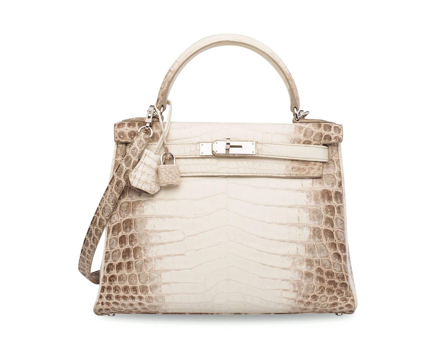 chanel vs hermes 1