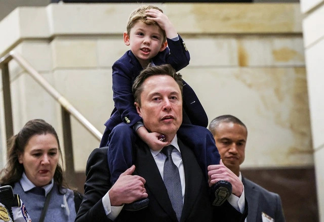 elon 400 ti