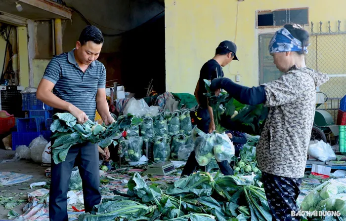 lam giau hai duong 1