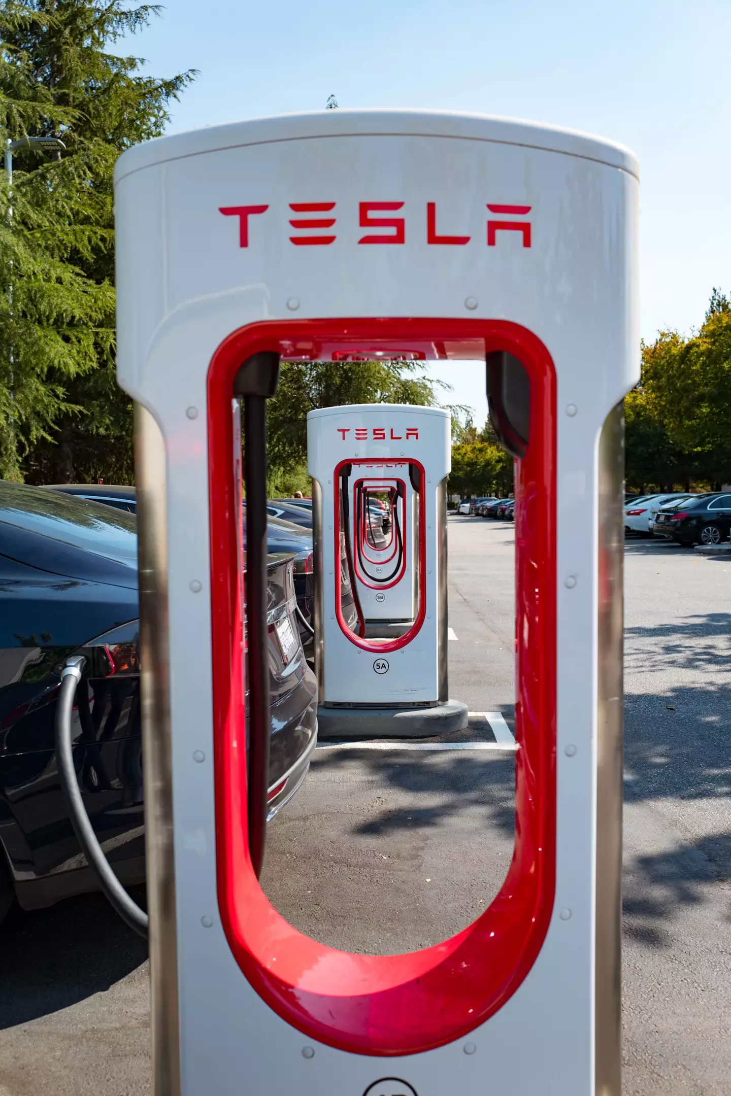 mua xe tesla model 3 1