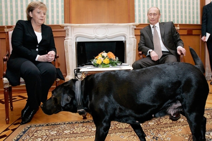putin dat theo cho