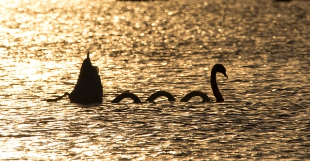 quai vat loch ness 55