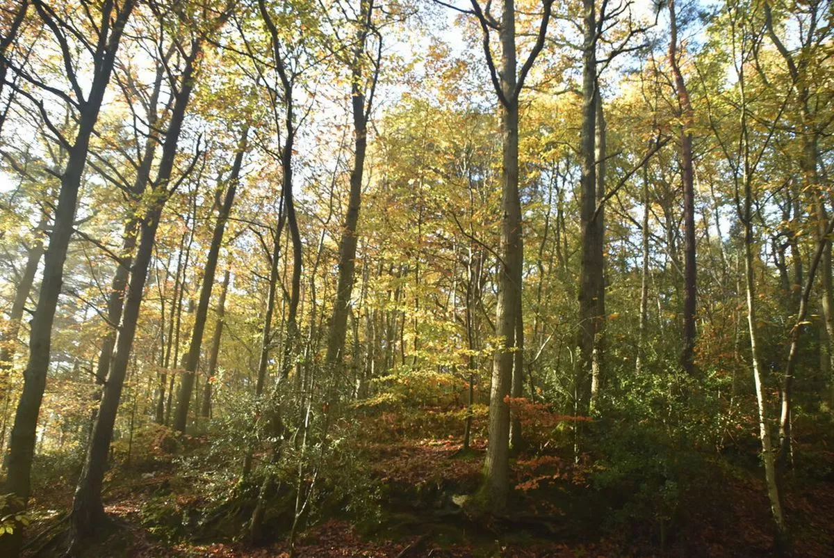 lang Ightham 2