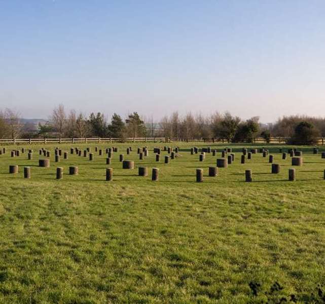 Woodhenge 0